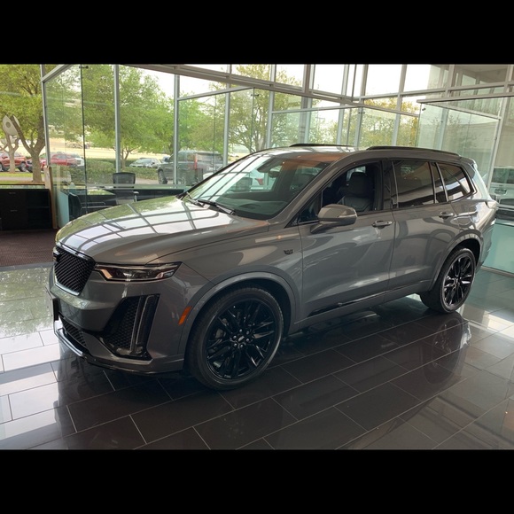 Meet your Posher, Oliver - Picture 1 of 1